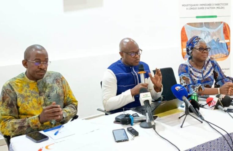 Progrès fulgurants contre le paludisme au Burkina Faso : vers une éradication totale en 2030