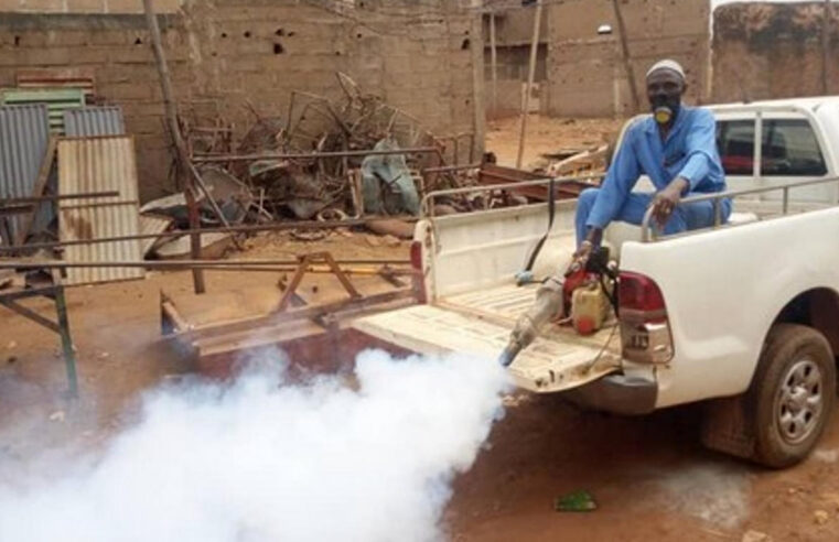 Épidémie de dengue au Mali : situation alarmante et mesures préventives