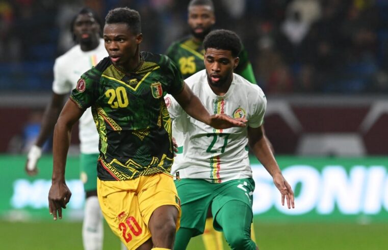 Fin de collaboration entre Tom Saintfiet et les Aigles du Mali