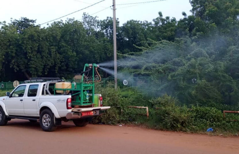 Épidémie de dengue au Burkina Faso : ampleur et mesures de lutte