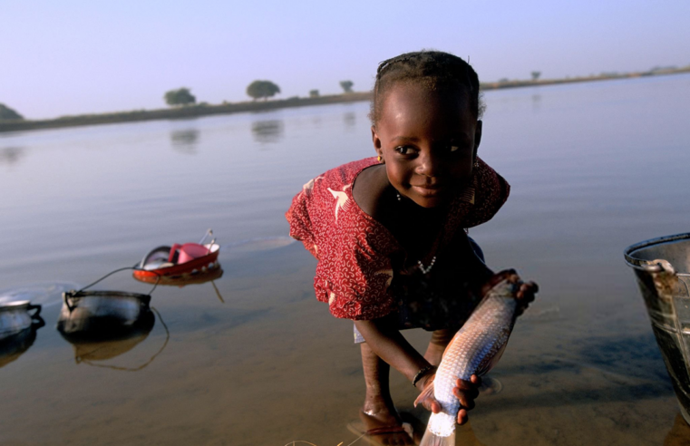 Le Niger, pionnier africain dans l&rsquo;éradication de la cécité des rivières