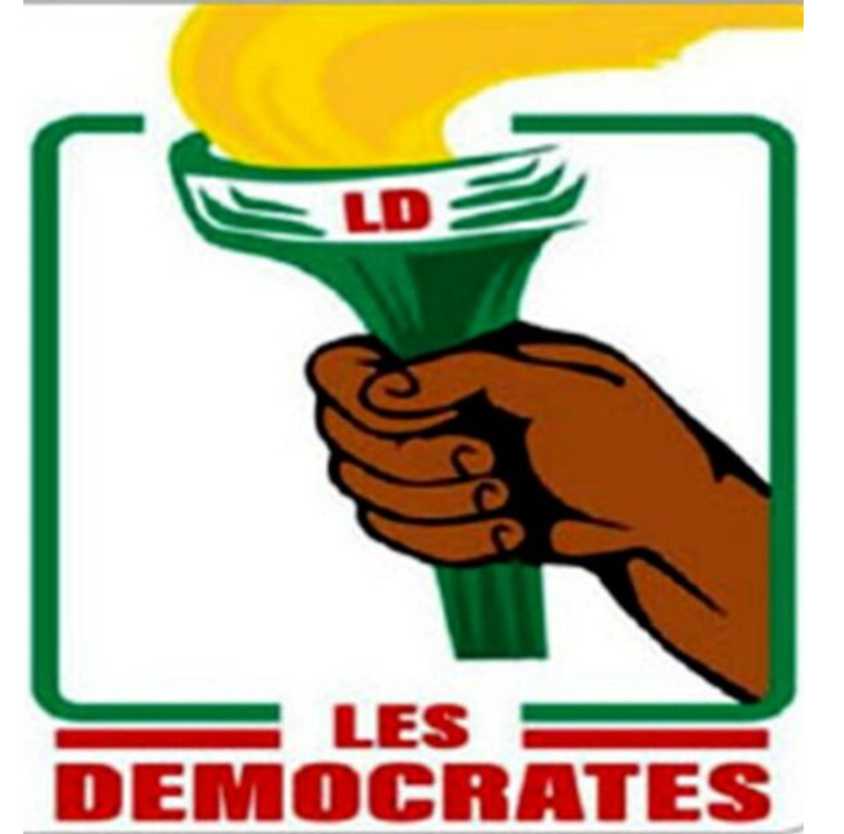 Élection présidentielle 2026 au bénin : les démocrates félicitent Wadagni-Talata et appellent à un nouveau cap