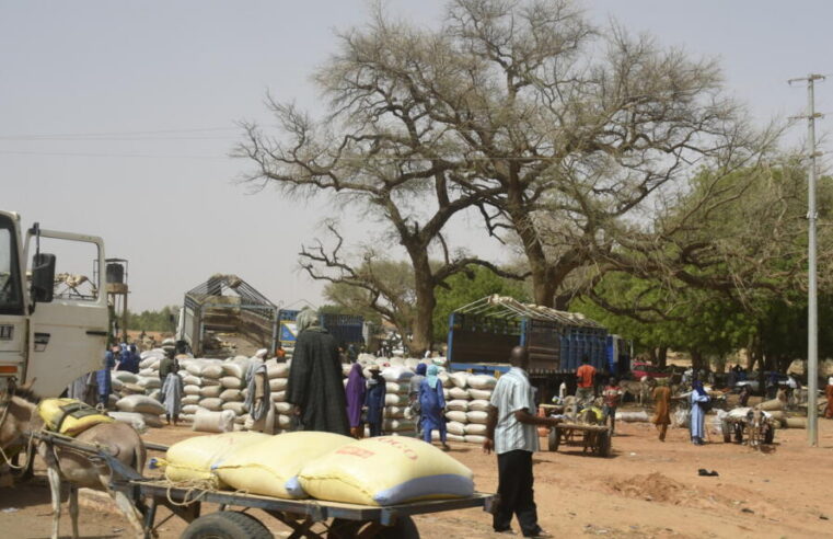 Niger : la commune de Téra submergée par un nouvel afflux de déplacés