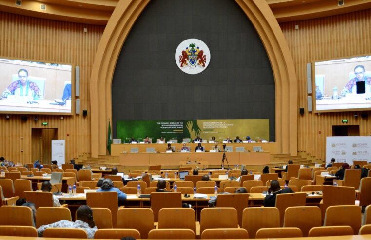 Droits humains au Burkina Faso : la CADHP appelée à agir