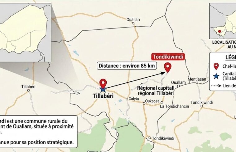 Niger : l&rsquo;incident de Dayye révèle les dangers de l&rsquo;aveuglement technologique