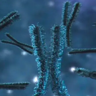 Le caryotype des globules blancs de la patiente (le caryotype désigne l'arrangement standard des chromosomes d'une cellule) - image : NIAID