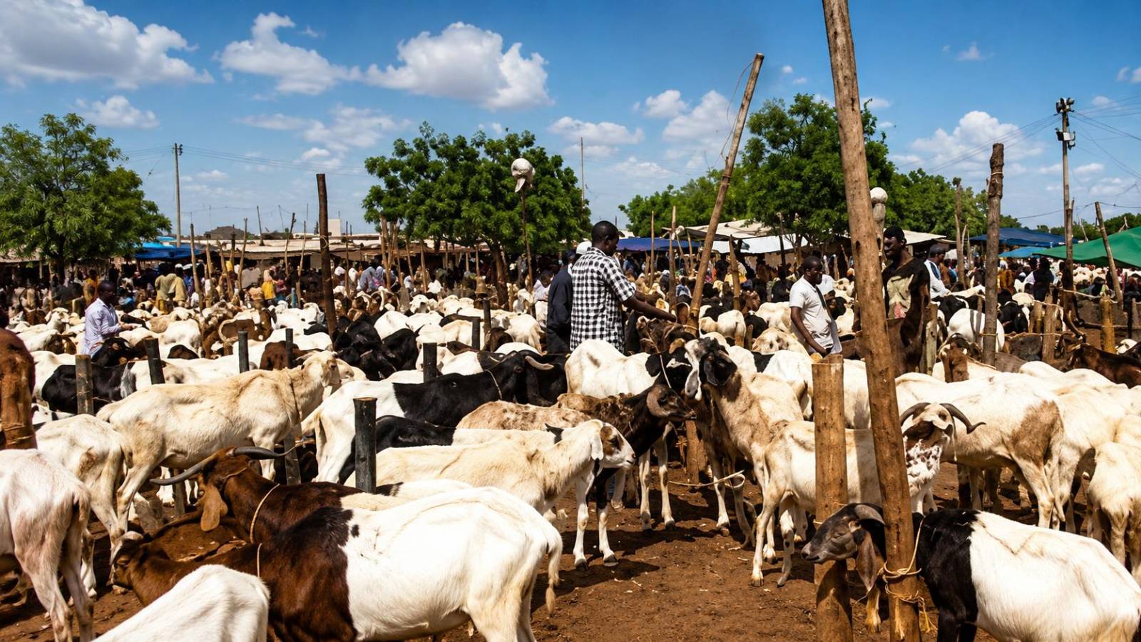 Tabaski au Burkina : le blocus du bétail, un pari risqué aux conséquences économiques lourdes