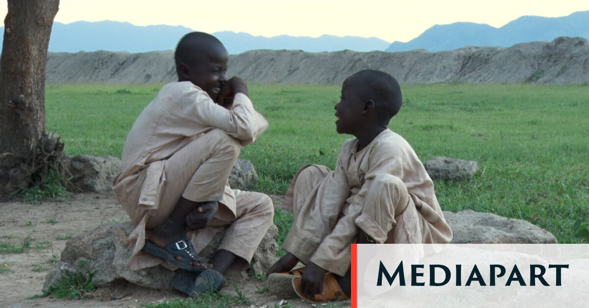 Impact de Boko Haram sur les jeunes camerounais