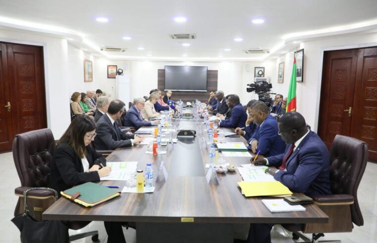 Mauritanie et union européenne : un dialogue stratégique pour renforcer les liens