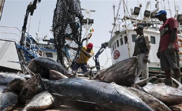 Sénégal : quatre nouvelles licences de pêche démersale pour booster le marché local