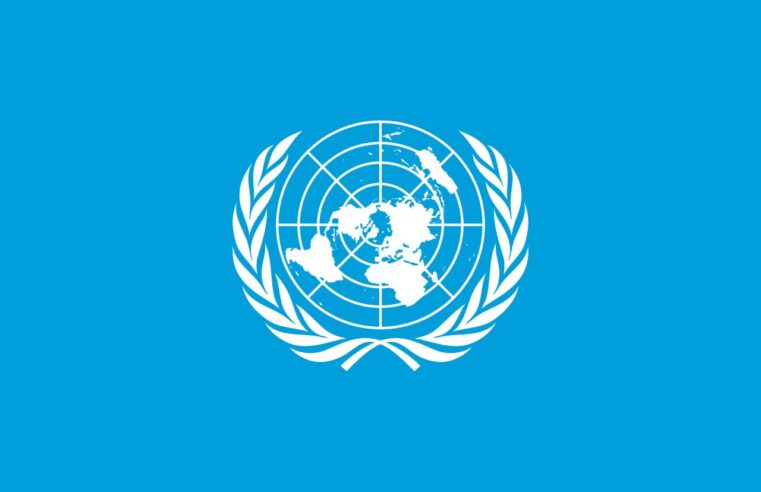 Mali : le conseil de sécurité de l&rsquo;ONU dénonce les attaques djihadistes récentes