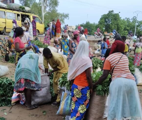 N&rsquo;Djamena face au chaos urbain : pauvreté ou solution durable ?
