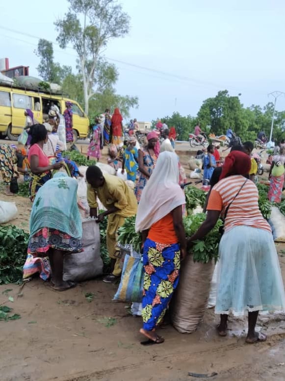 N&rsquo;Djamena face au chaos urbain : pauvreté ou solution durable ?