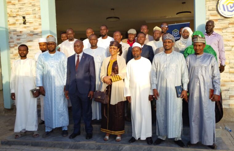 Sonemic : innovations locales et stratégie minière au Tchad