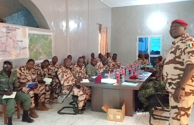Coopération militaire Tchad-RCA : renforcement de la sécurité aux frontières