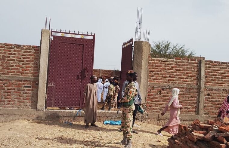 Réseau d’abattage clandestin démantelé à N’djamena : plus de 100 animaux malades saisis