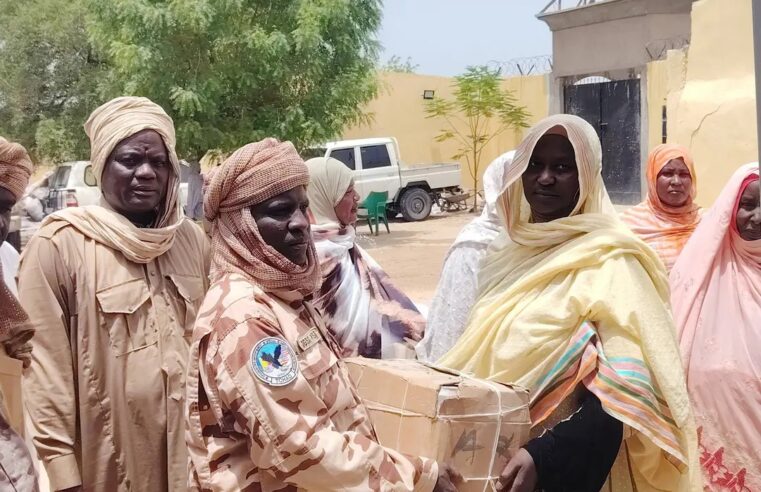 Les femmes du lac Tchad se mobilisent contre boko haram