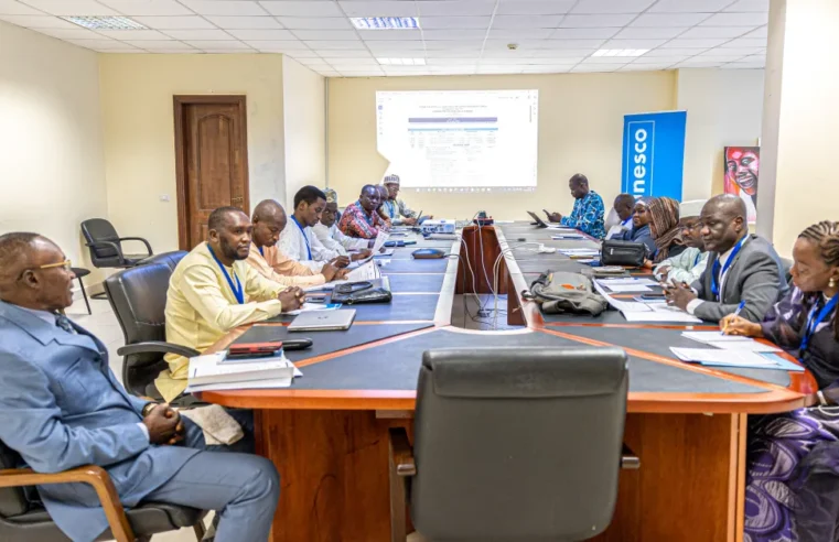 Tchad Cameroun : une mission d’étude sur les tic dans l’éducation à Yaoundé