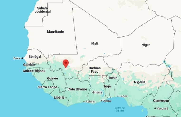 Manifestation à Bamako contre la dissolution des partis politiques au Mali
