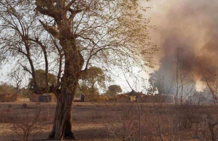 Conflit entre boko haram et la PAOEI pour le contrôle de la forêt de Sambisa