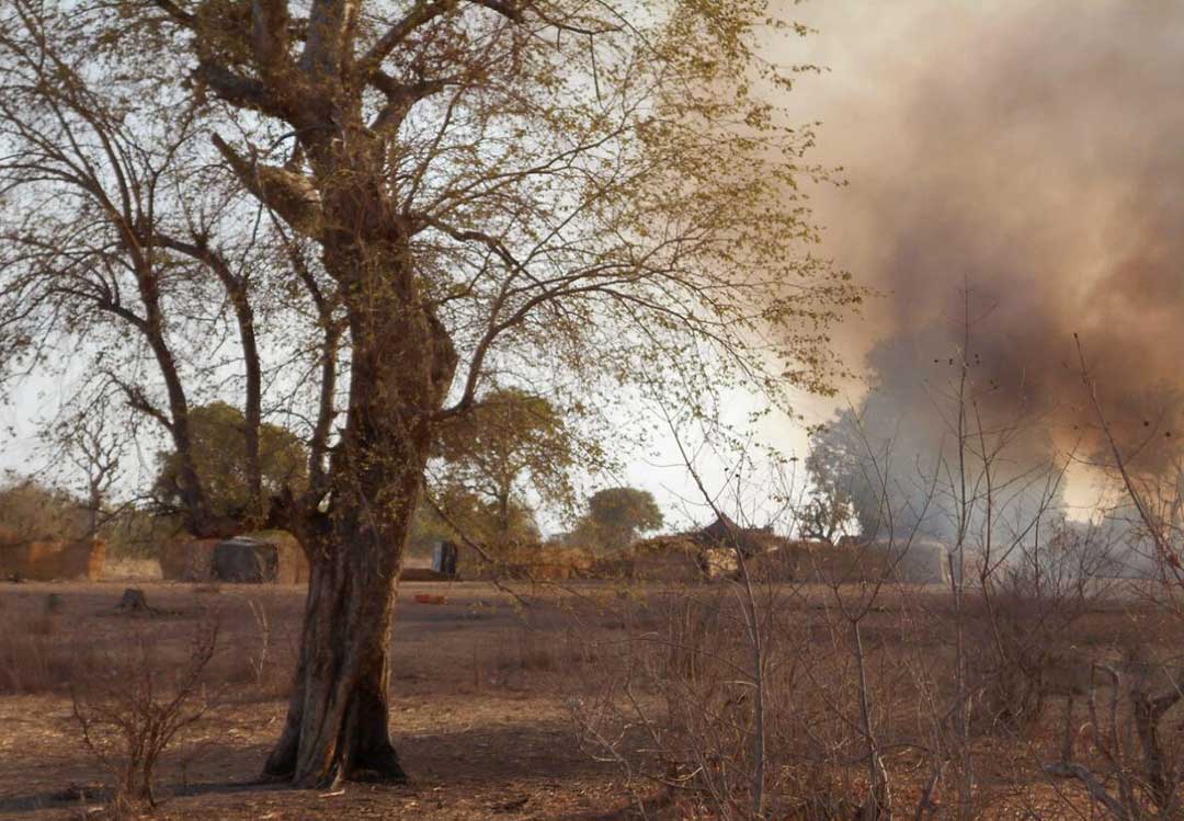 Conflit entre boko haram et la PAOEI pour le contrôle de la forêt de Sambisa
