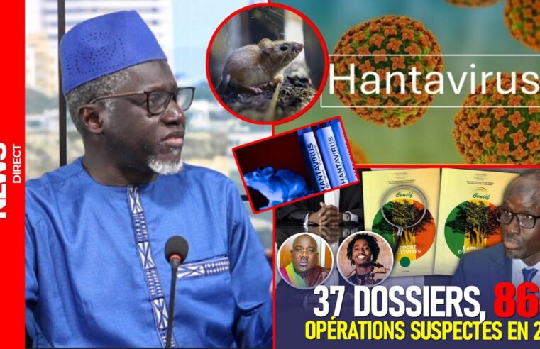 Crise sanitaire et économique au Sénégal : hantavirus et dette en question