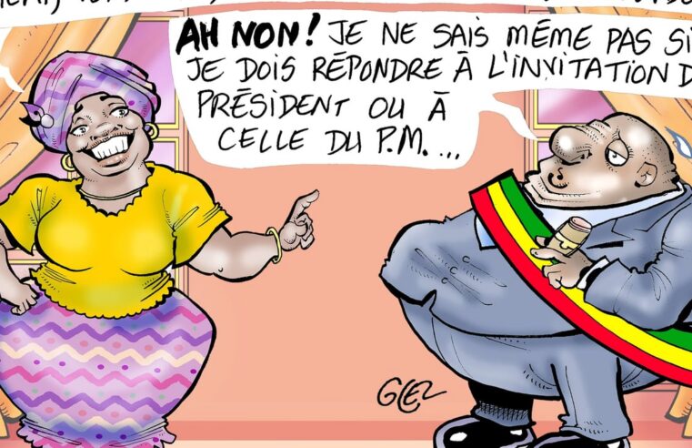 Sénégal : une rivalité politique entre Bassirou Diomaye Faye et Ousmane Sonko