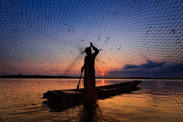 Rivalités mondiales pour l&rsquo;or bleu : le secteur de la pêche en Mauritanie sous pression