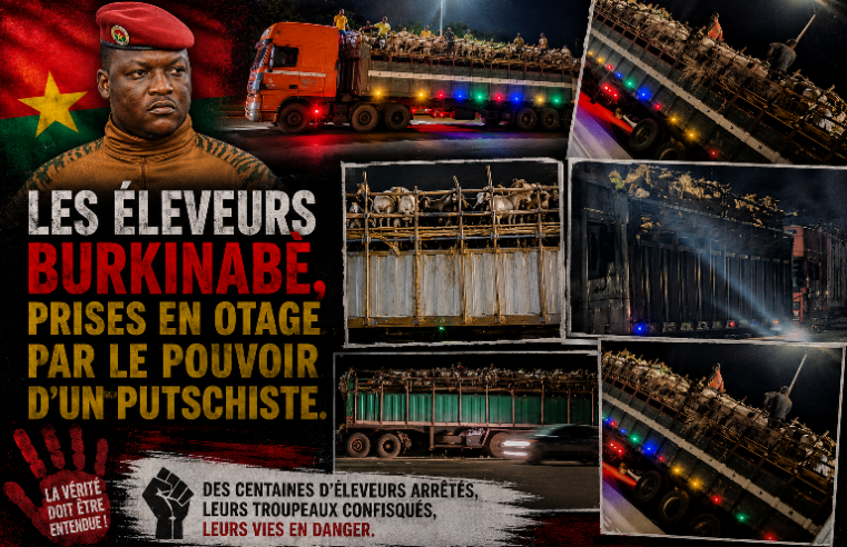 Burkina Faso : le commerce du bétail bloqué à l’approche du ramadan