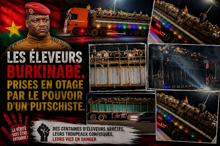 Burkina Faso : le commerce du bétail bloqué à l’approche du ramadan