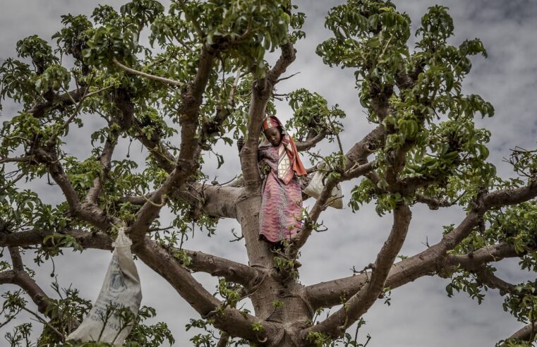 Le Niger face à une détresse économique sans précédent : le cri d&rsquo;alarme d&rsquo;un peuple affamé