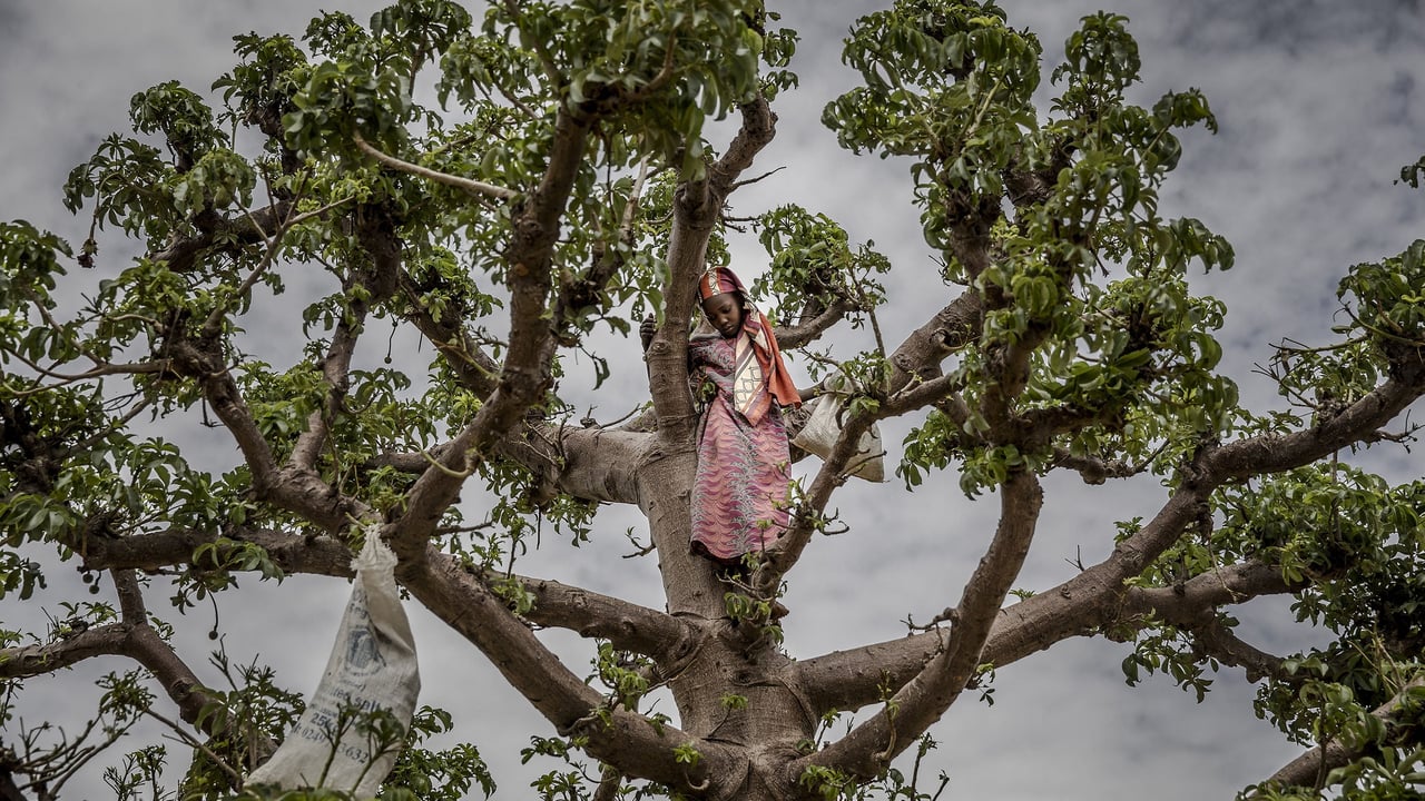 Le Niger face à une détresse économique sans précédent : le cri d&rsquo;alarme d&rsquo;un peuple affamé