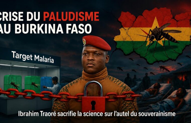 Burkina Faso : quand la souveraineté sanitaire fragilise la lutte contre le paludisme