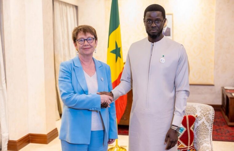 Diomaye Faye rencontre la berd : des projets majeurs pour le Sénégal