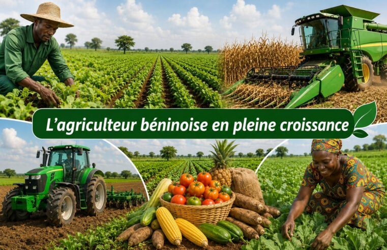 Agriculture béninoise : la révolution verte qui booste l&rsquo;économie depuis 2016