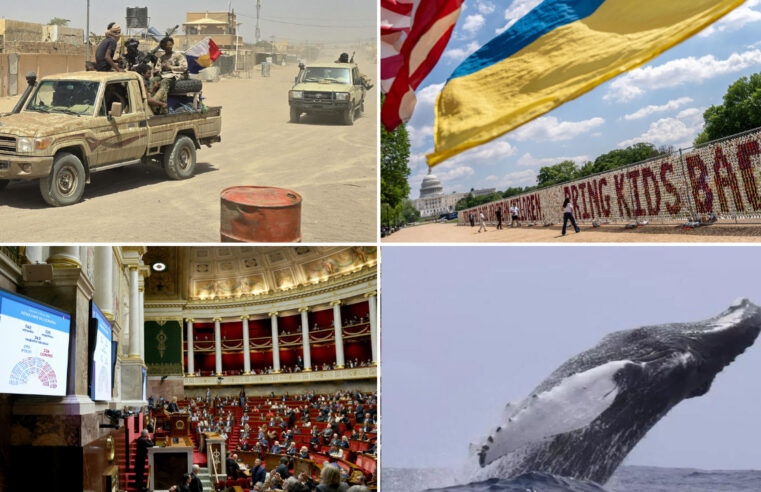 Alliance entre le Jnim et le FLA au Mali : analyse des enjeux et perspectives