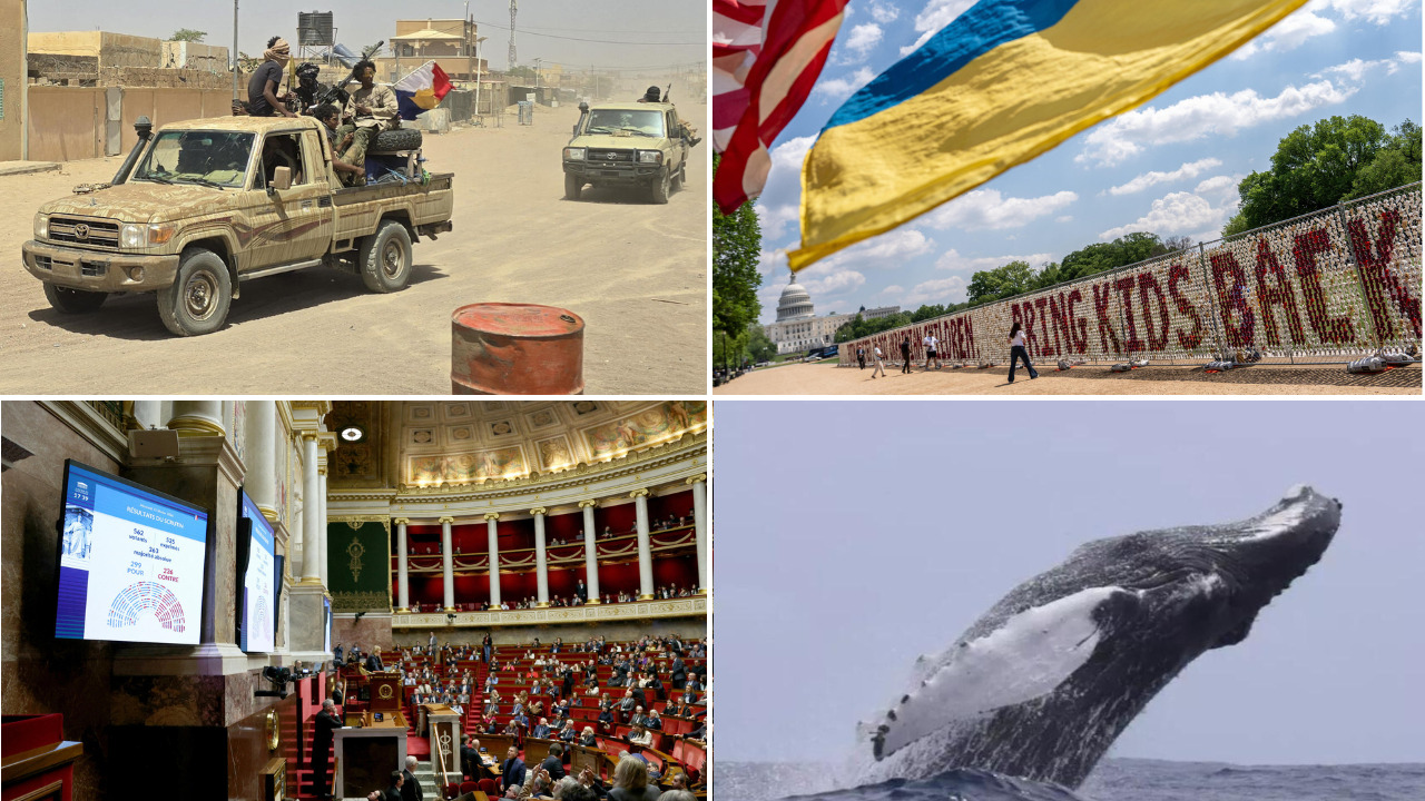 Alliance entre le Jnim et le FLA au Mali : analyse des enjeux et perspectives