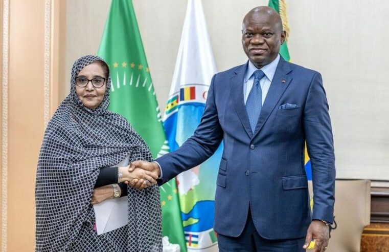 Francophonie : le Gabon et la Mauritanie redéfinissent les équilibres