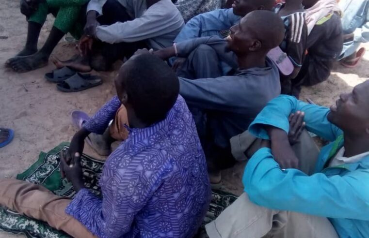 Rançon de 2,7 millions FCFA : 35 pêcheurs libérés par Boko Haram dans l&rsquo;Extrême-Nord