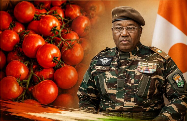Tomate nigérienne et financement italiens : le paradoxe de la souveraineté