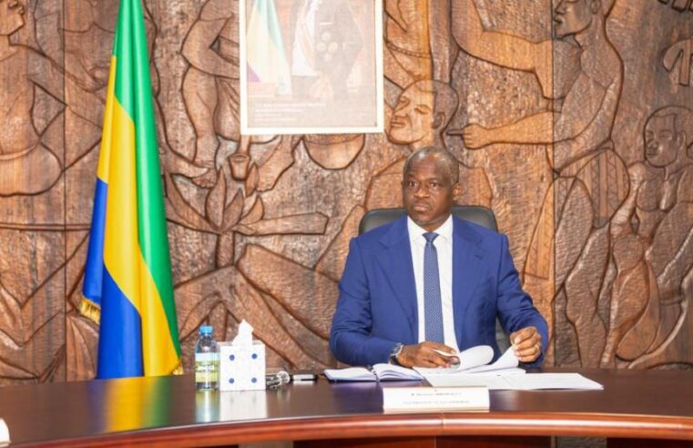 Gabon-union europeenne : un dialogue strategique pour la cinquieme republique
