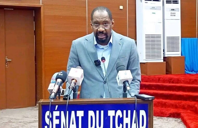 Tchad : appel urgent à l&rsquo;union contre l&rsquo;insécurité communautaire