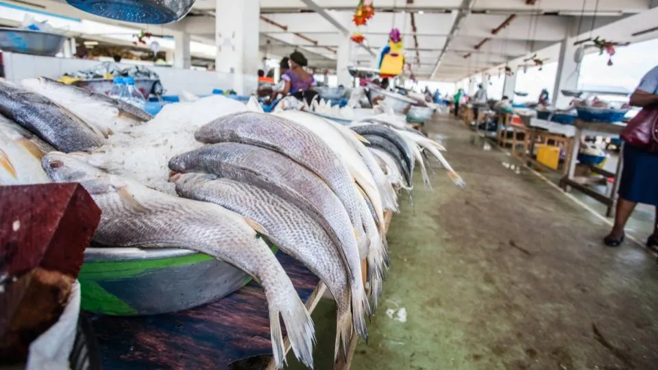 Le Gabon met fin à l&rsquo;accord de pêche avec l&rsquo;Union européenne