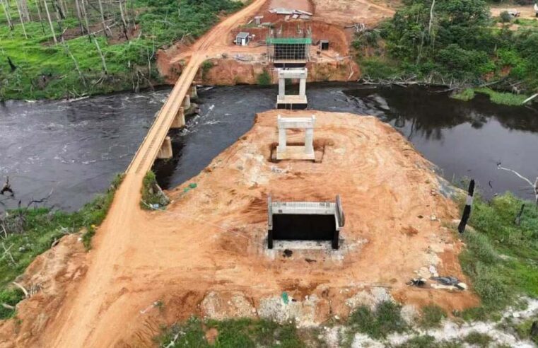 Pont sur le Dja : le chantier de désenclavement du Sud Cameroun franchit une étape clé
