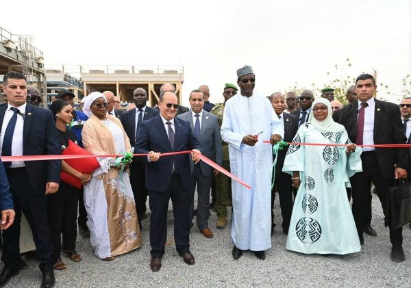 Algérie et Niger renforcent leur coopération énergétique avec une centrale de 40 MW