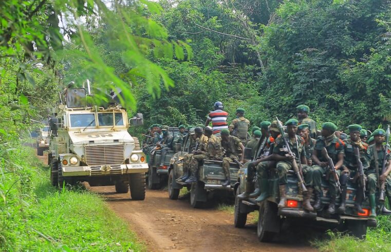 Violence des adf dans l&rsquo;est de la rdc : bilan meurtrier depuis début 2026