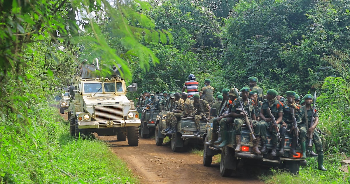 Violence des adf dans l&rsquo;est de la rdc : bilan meurtrier depuis début 2026