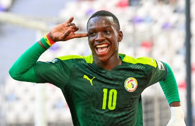 Amara Diouf de nouveau sur les terrains, cap sur Fenerbahçe