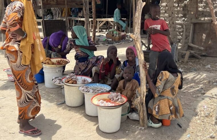 Nigeria : boko haram relâche plusieurs centaines d&rsquo;otages