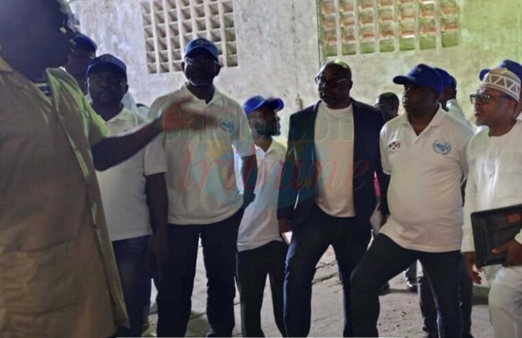 Cameroun: 35 vérificateurs de cacao formés pour booster la qualité des exportations